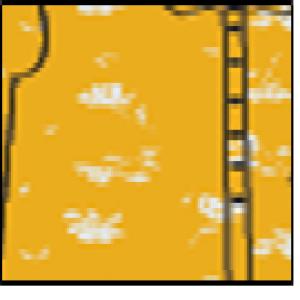 5170---Mustard
