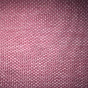 6967Coral