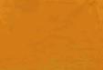 4CY1-MUSTARD