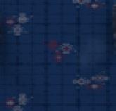 A577Navy
