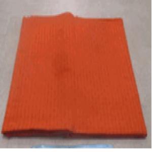 IB509RUST