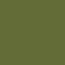 J1660Olive