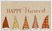 Happy Harvest  Gnims