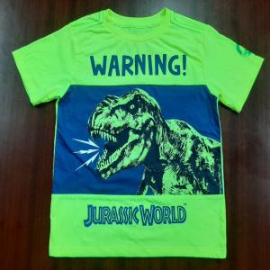 BOYS SHORT SLEEVE TS