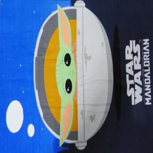 100% Cotton Printed 